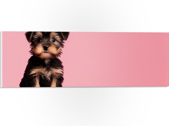 PVC Schuimplaat - Poserende Yorkisch Terrier Puppy in het Bruin met Zwart tegen Roze Achtergrond - 60x20 cm Foto op PVC Schuimplaat (Met Ophangsysteem)