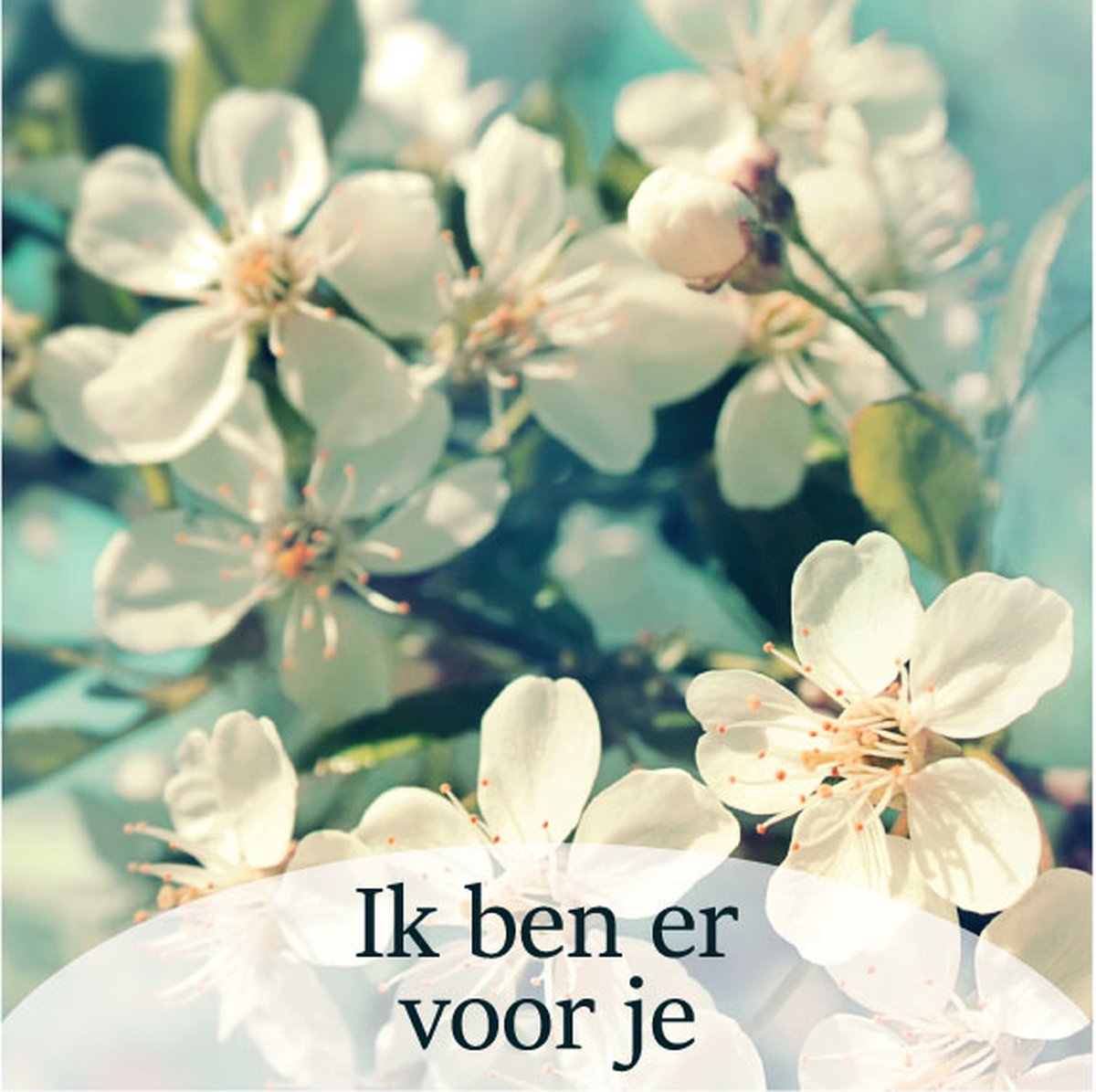 Luxe Bloemenkaartje - "Ik ben er voor je" - Cadeaukaartje - Bloemenlabel - Kaartje - 7x7 cm - 20 stuks - Met Boorgaatje