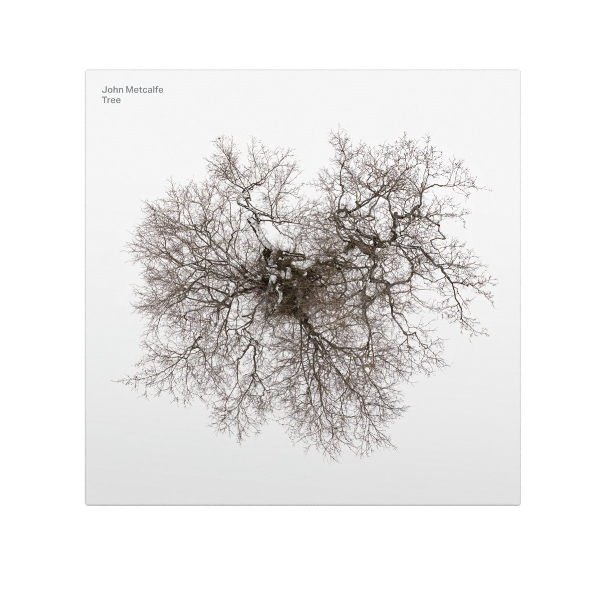 John Metcalfe - Tree (2 LP)
