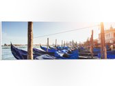 PVC Schuimplaat- Blauwe Gondels op de Zee bij Venetië op Zonnige Dag - 60x20 cm Foto op PVC Schuimplaat