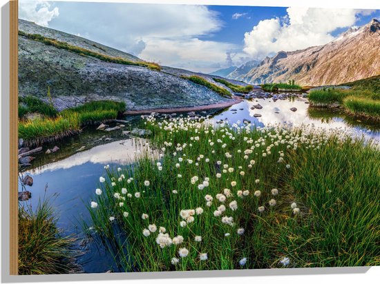 Hout - Bergen - Water - Planten - Bloemen - Wolken - 80x60 cm - 9 mm dik - Foto op Hout (Met Ophangsysteem)