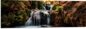 Dibond - Kleine Watervallen bij de Rotsen in het Bos - 120x40 cm Foto op Aluminium (Wanddecoratie van metaal)