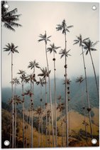 Tuinposter – Bergen - Bomen - Palmbomen - Bosjes - 40x60 cm Foto op Tuinposter (wanddecoratie voor buiten en binnen)
