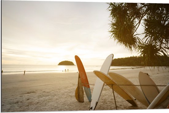 Dibond - Rij Surfplanken op het Strand tijdens Avondzon - 90x60 cm Foto op Aluminium (Wanddecoratie van metaal)