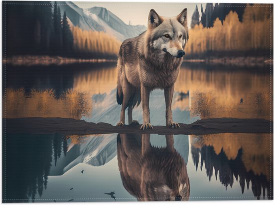Vlag - Wolf in Landschap met Weerspiegeling in het Water - 40x30 cm Foto op Polyester Vlag