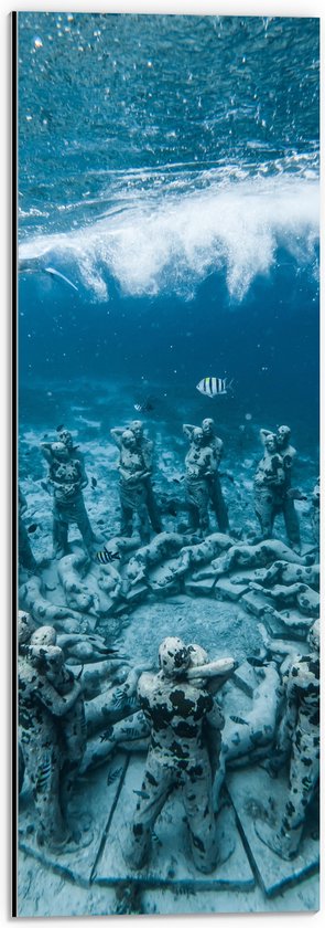 Dibond - Zee - Water - Vissen - Beelden - Onderwater - Duiken - 20x60 cm Foto op Aluminium (Wanddecoratie van metaal)