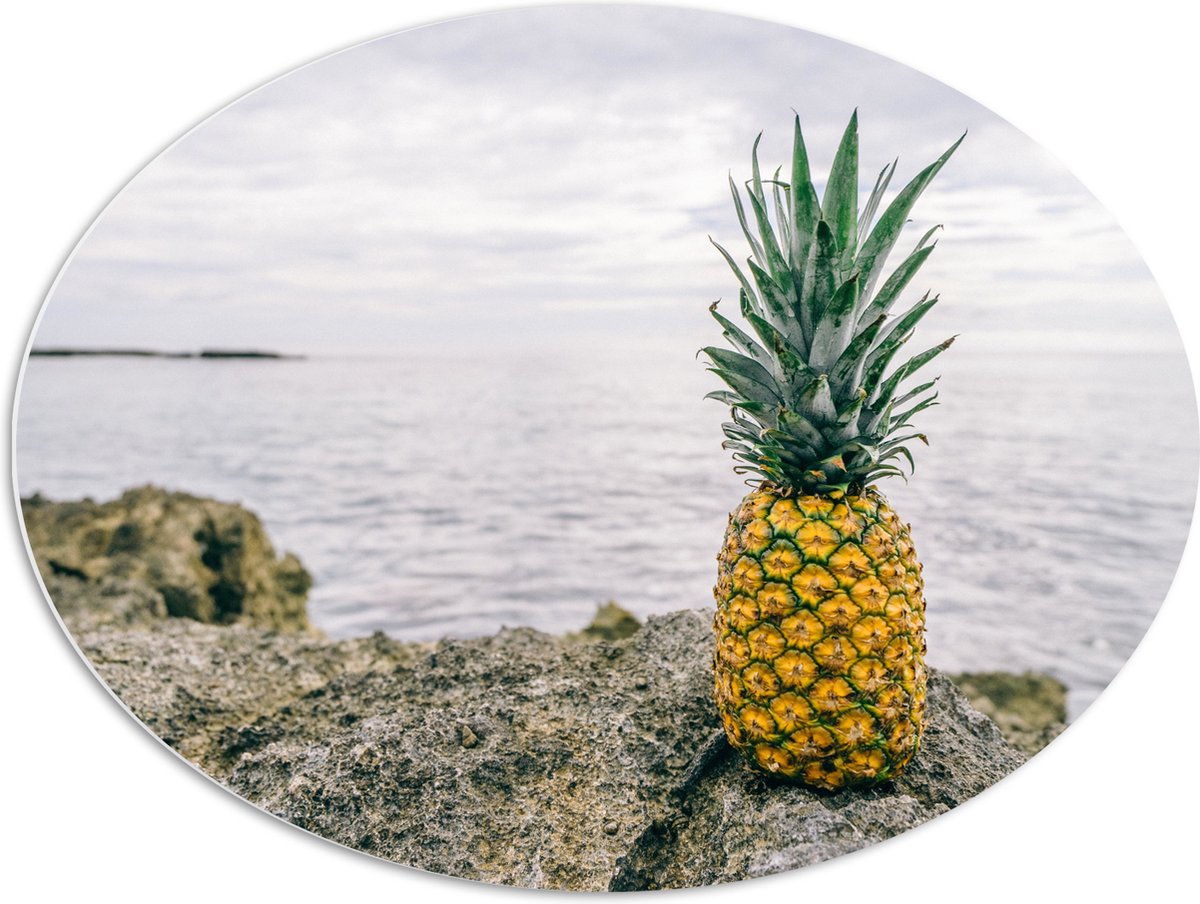 PVC Schuimplaat Ovaal - Ananas - Rotsen - Zee - Golven - 80x60 cm Foto op Ovaal (Met Ophangsysteem)