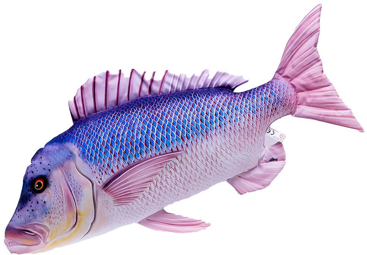 Gaby Het Dentex Reuzenkussen Paars