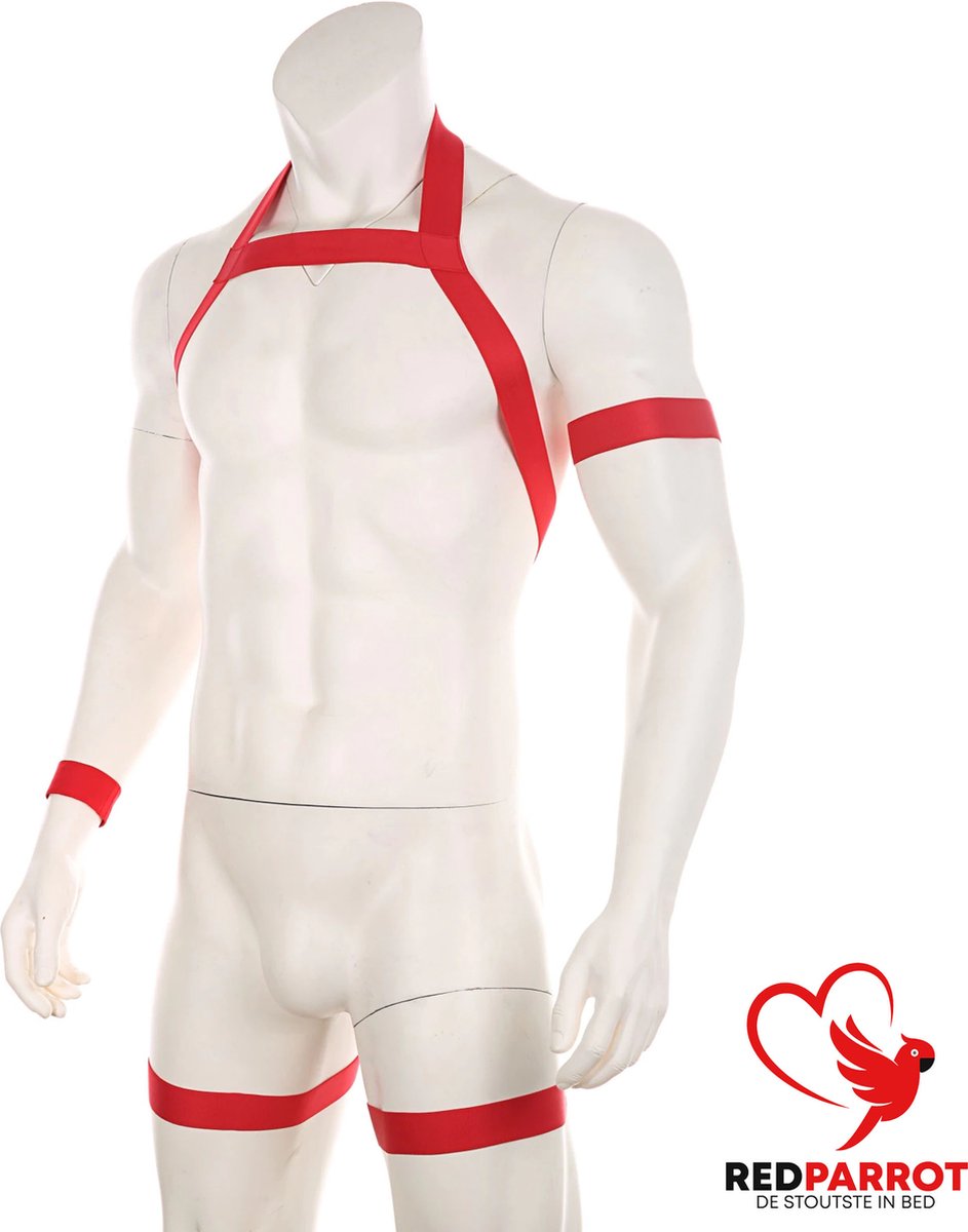 Goedkoopste Erotische Halter Harnas | Rode Lingerie voor Heren | BDSM | Full body | Armen en benen | Club wear | Mannen | Voor hem