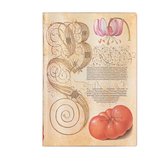 Mira Botanica- Lily & Tomato (Mira Botanica) Midi Lined Journal