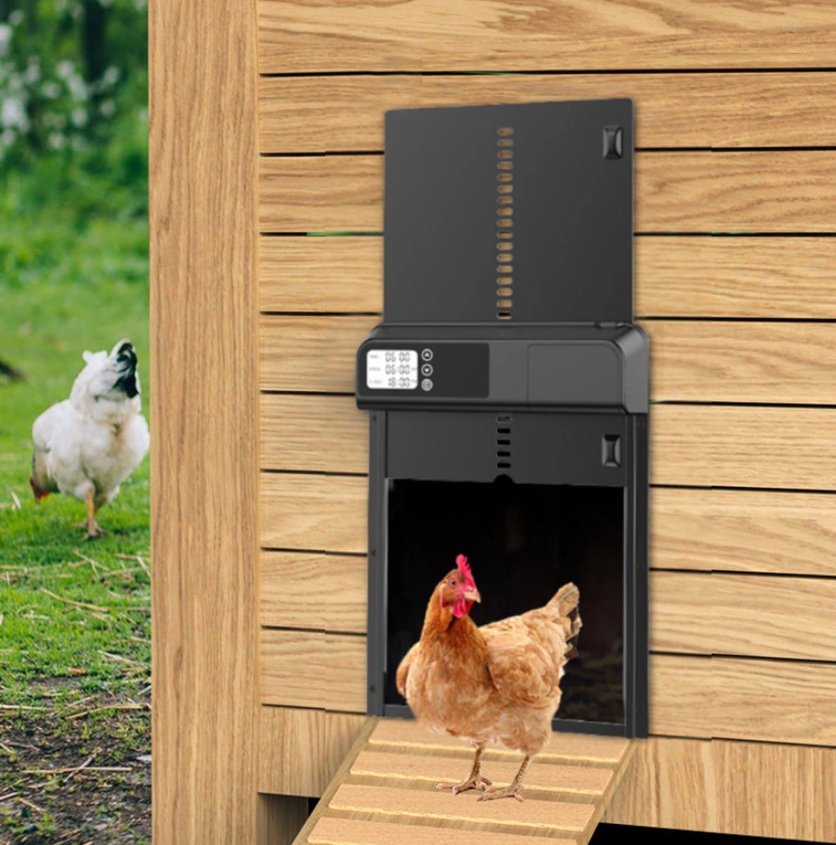 Kippenluik automatisch deur op batterijen incl. timer - hokopener voor  kippendeur –... | bol.com