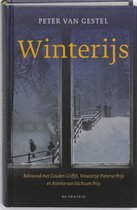 Boekcover 'Winterijs' van Peter van Gestel. Een winterse scene door een raam met sneeuw.