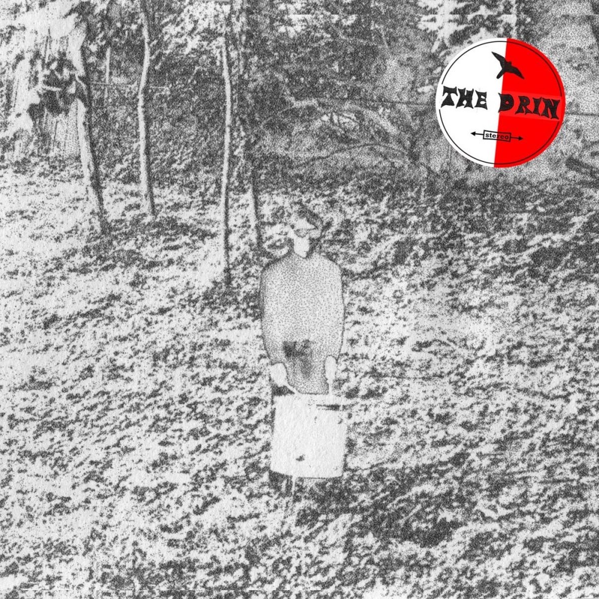 The Drin - Down River In The Distance (LP)