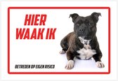 Bord | Waakbord | "Hier waak ik" | 30 x 20 cm | Staffordshire Bull Terrier | 1 mm | Gevaarlijke hond | Waakhond | Hond | Betreden op eigen risico | Polystyreen | Rechthoek | Witte achtergrond | 1 stuk