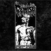 Demise - Endless Torment (LP)