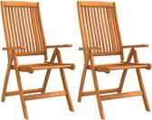 vidaXL - Tuinstoelen - 2 - st - inklapbaar - massief - eucalyptushout
