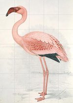 IXXI Lesser Flamingo - Wanddecoratie - Dieren en insecten - 100 x 140 cm