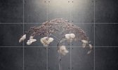 IXXI White Hydrangea - Wanddecoratie - Abstract - 100 x 60 cm