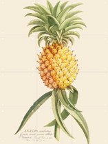 IXXI Ananas 2 - Wanddecoratie - Vintage - 60 x 80 cm