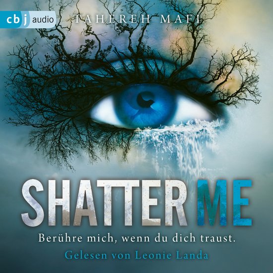 Shatter Me - cover
