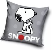 Snoopy sierkussen, 40x40 cm, zonder vulling, 1 stuks