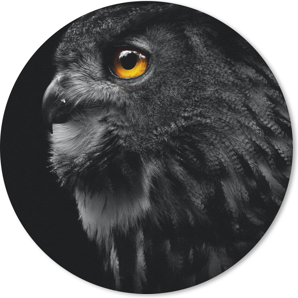 Muismat rond 40x40 cm - Mousepad Uil - Vogel - Zwart - Portret - Ronde muismatten
