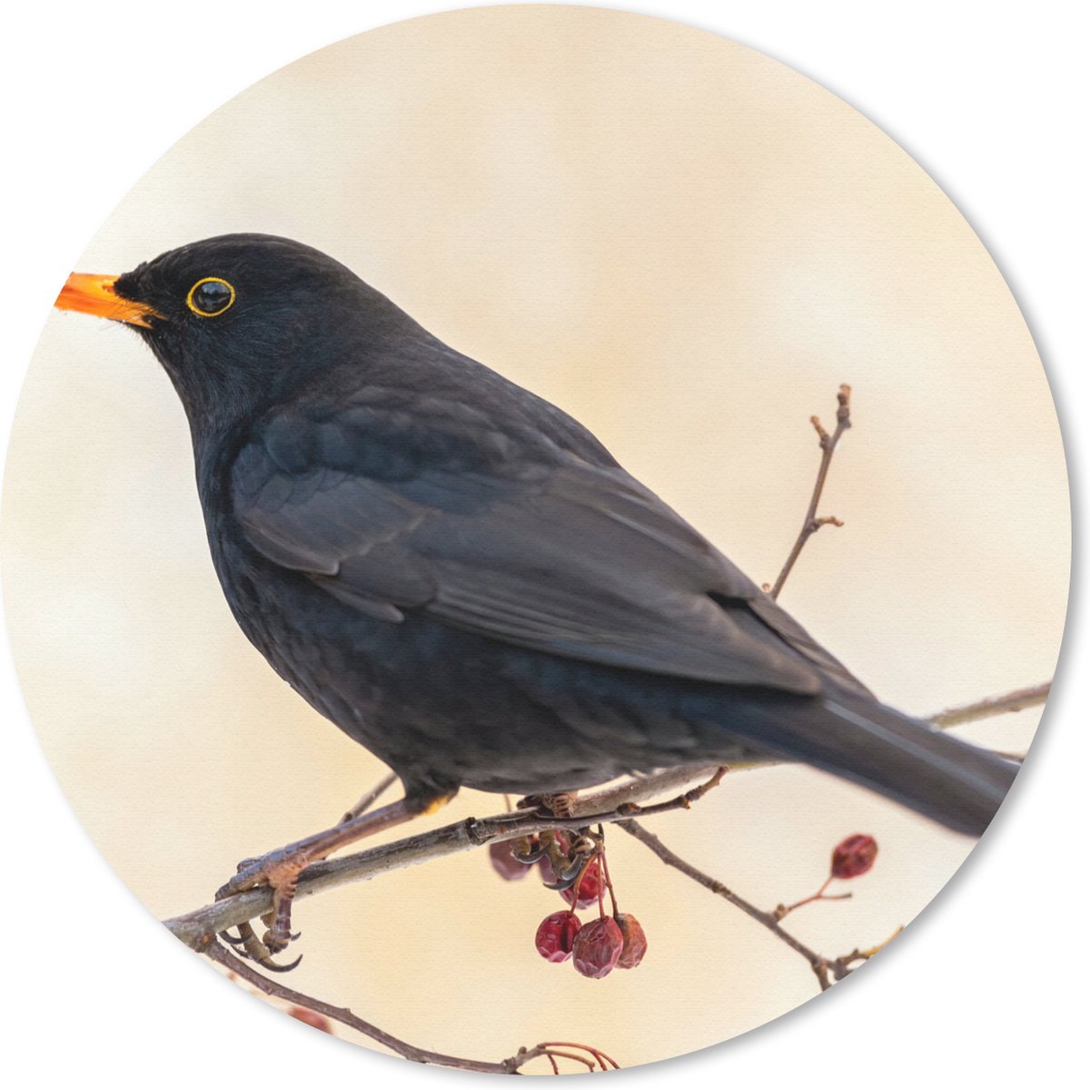 Muismat rond 30x30 cm - Mousepad Merel - Vogel - Takken - Bes - Rood - Ronde muismatten