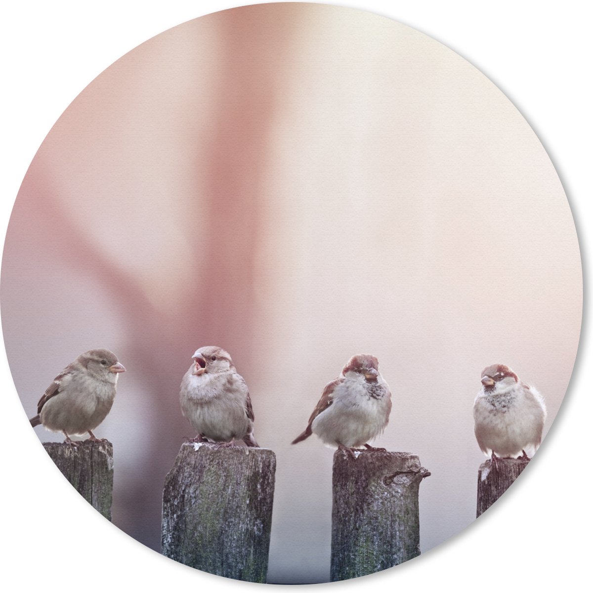 Muismat rond 40x40 cm - Mousepad Vogels - Mussen - Paaltjes - Hout - Ronde muismatten