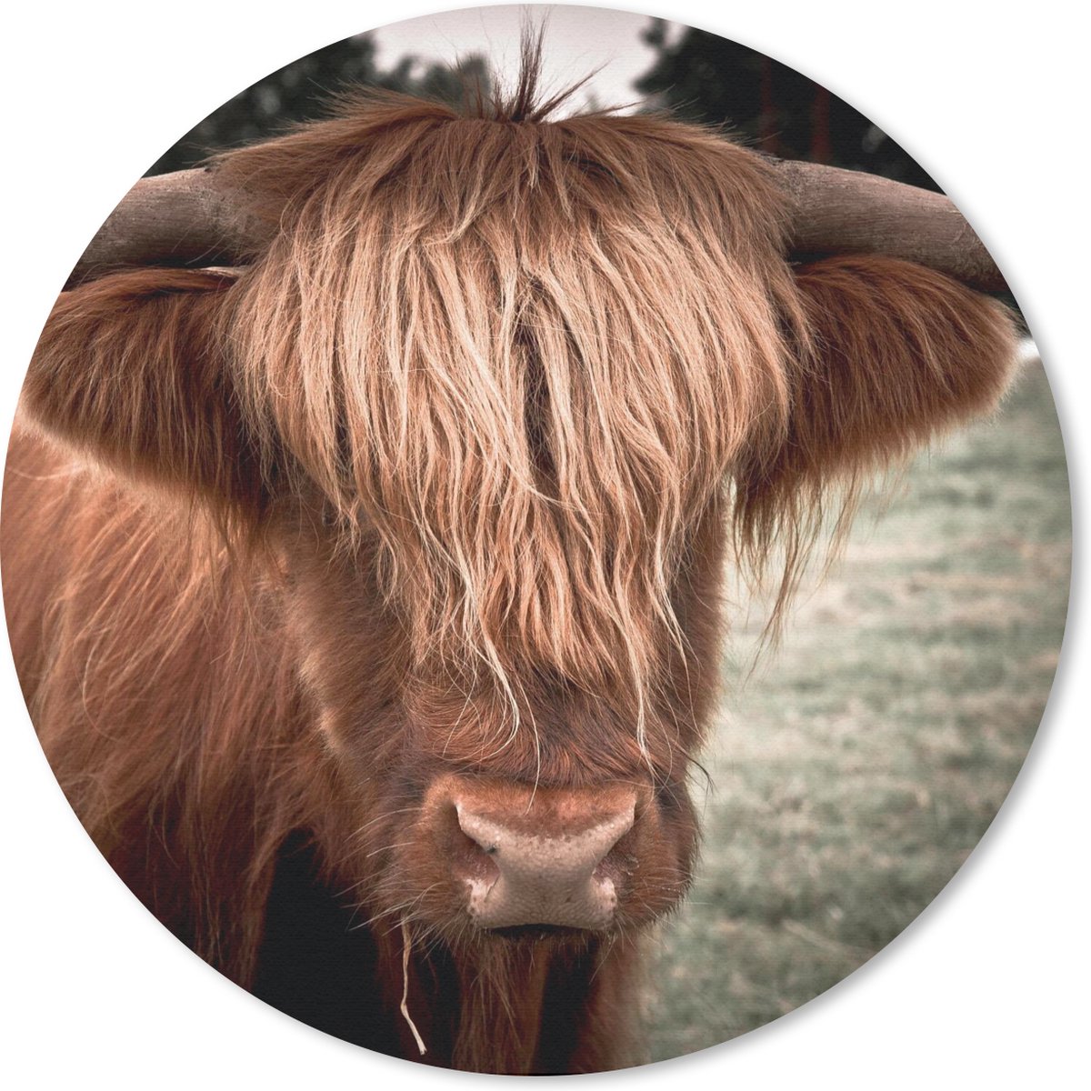Muismat rond 30x30 cm - Mousepad Schotse Hooglander - Boom - Gras - Ronde muismatten