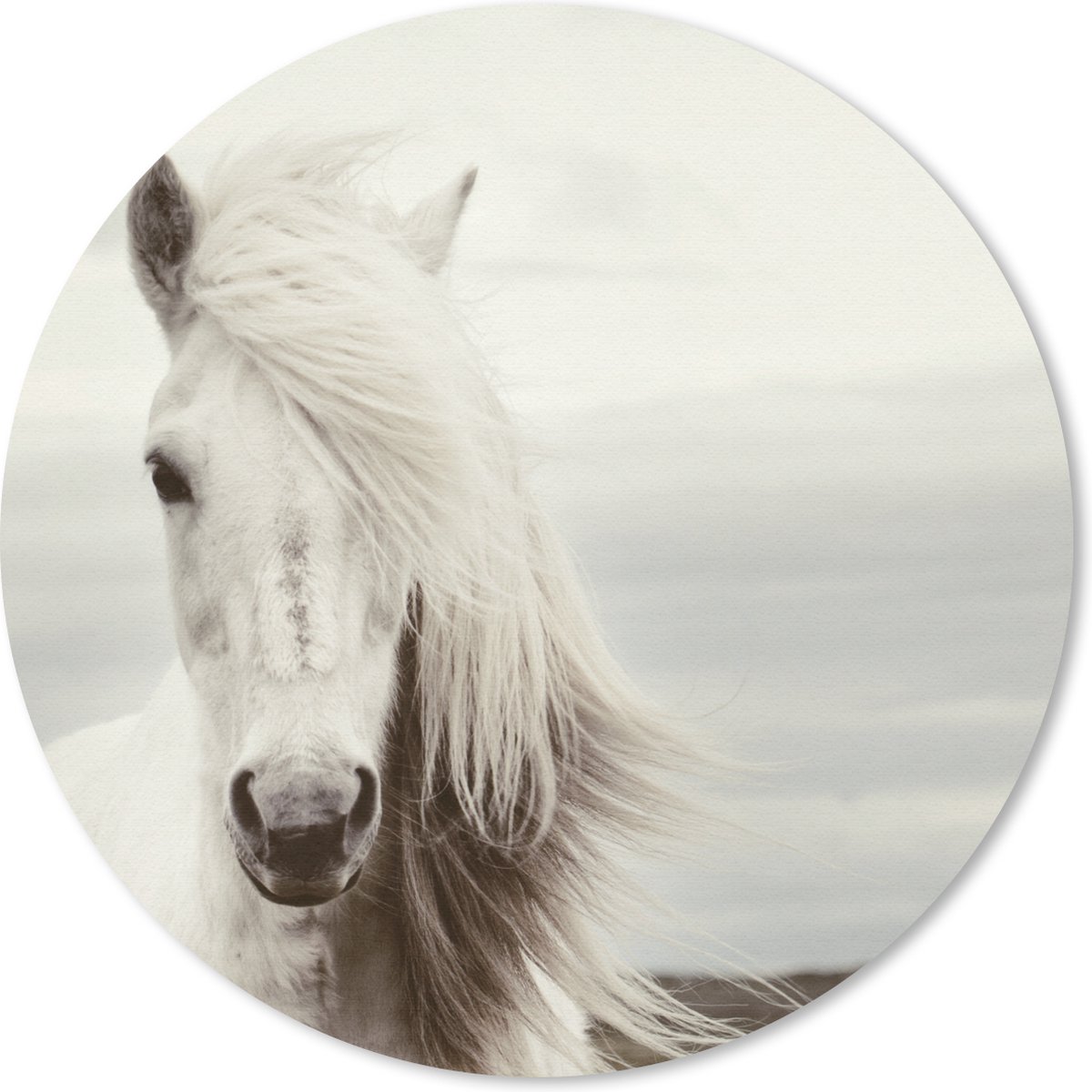 Muismat rond 20x20 cm - Mousepad Paard - Strand - Manen - Ronde muismatten