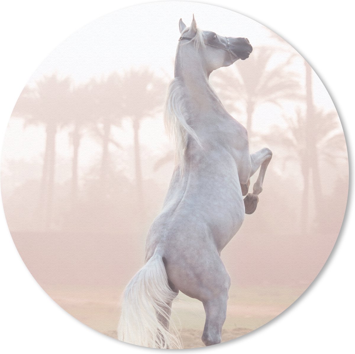 Muismat rond 20x20 cm - Mousepad Paard - Zand - Palmboom - Ronde muismatten