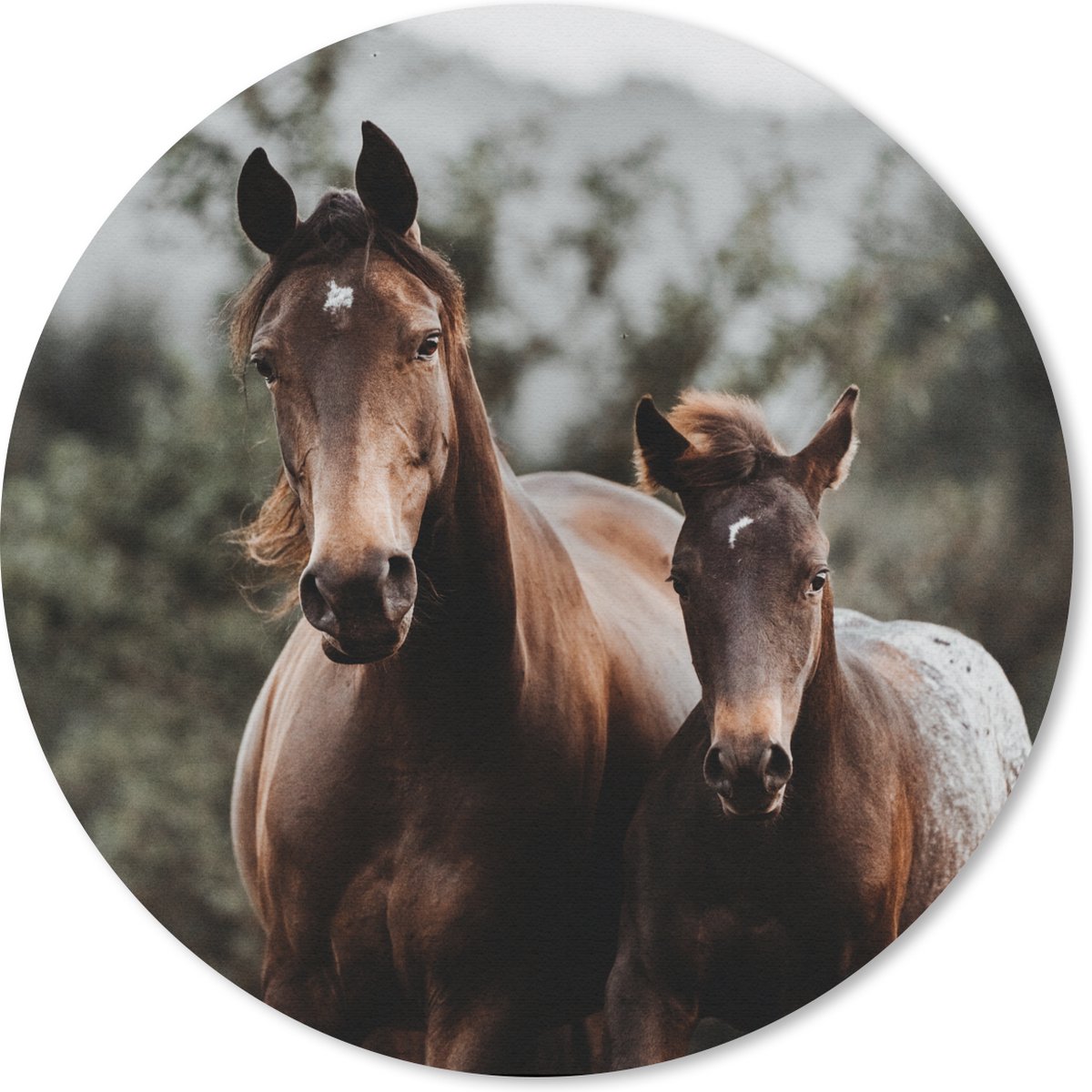 Muismat rond 20x20 cm - Mousepad Paarden - Bos - Berg - Ronde muismatten