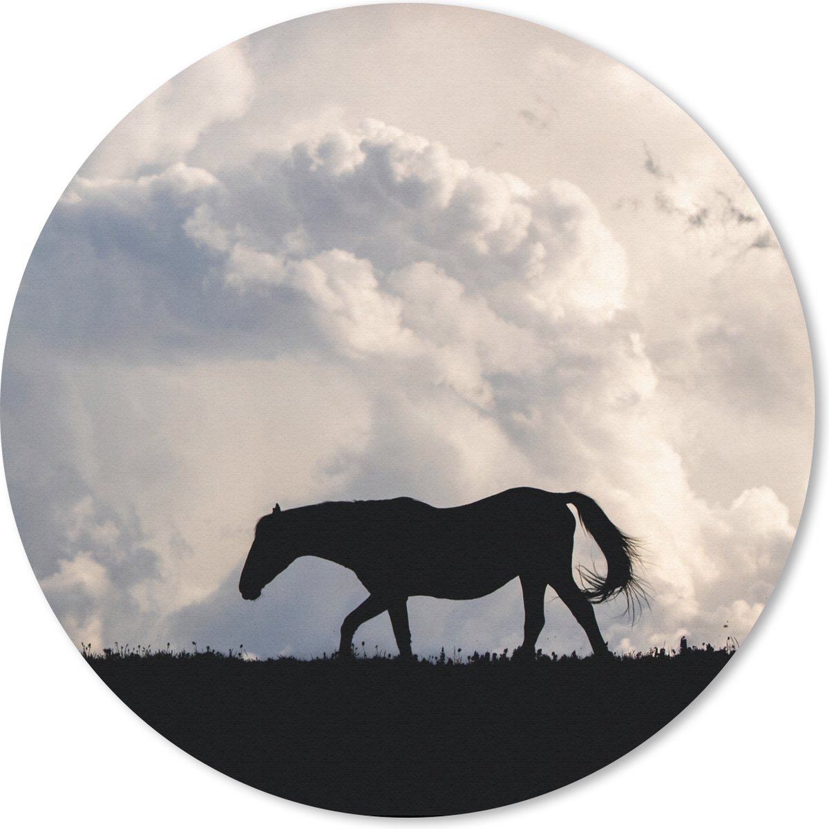 Muismat rond 20x20 cm - Mousepad Paard - Wolken - Schaduw - Ronde muismatten