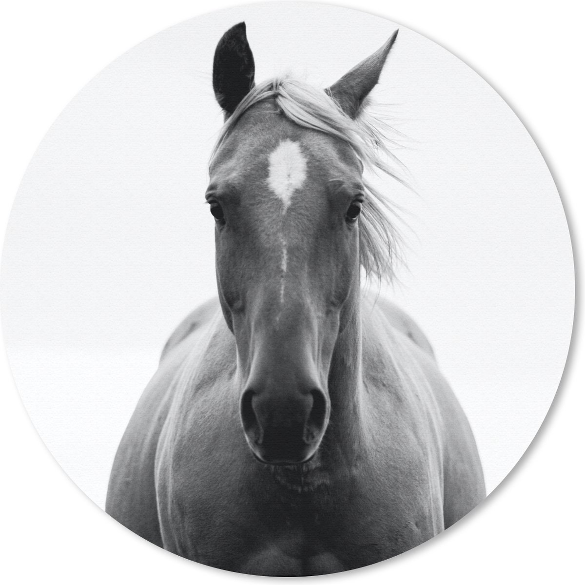 Muismat rond 50x50 cm - Mousepad Paard - Zwart - Wit - Portret - Ronde muismatten