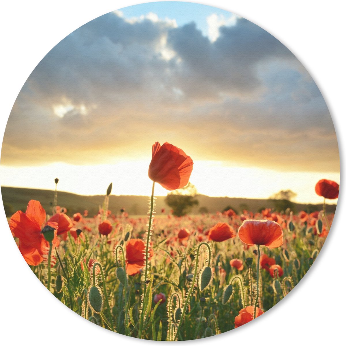 Muismat rond 30x30 cm - Mousepad Kleurrijke lucht boven vele Klaprozen - Ronde muismatten