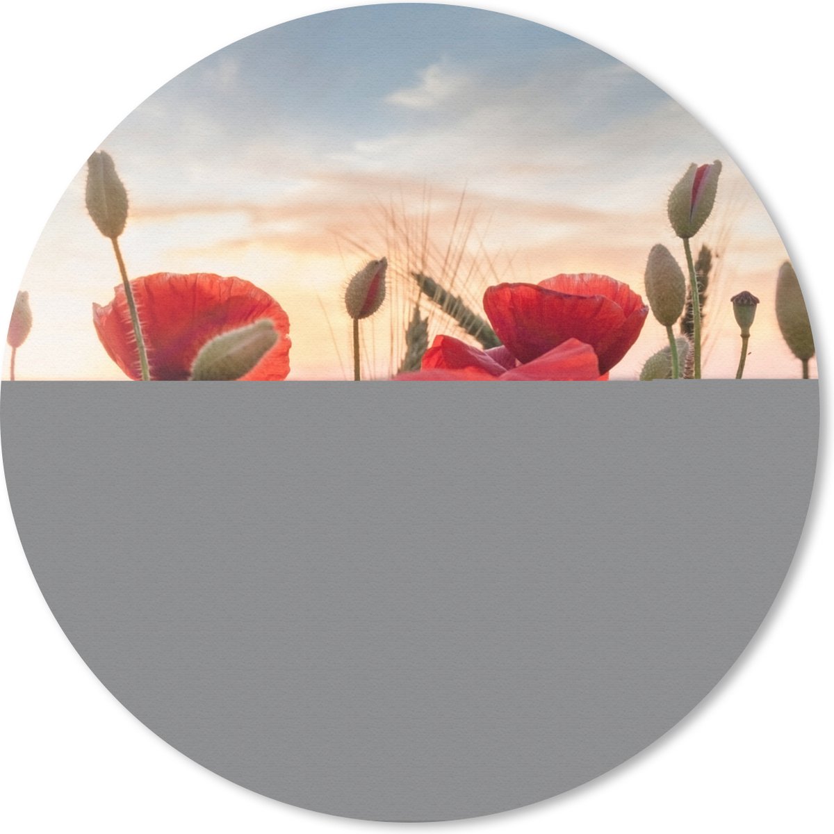Muismat rond 20x20 cm - Mousepad Zonsondergang achter de mooie Klaprozen - Ronde muismatten