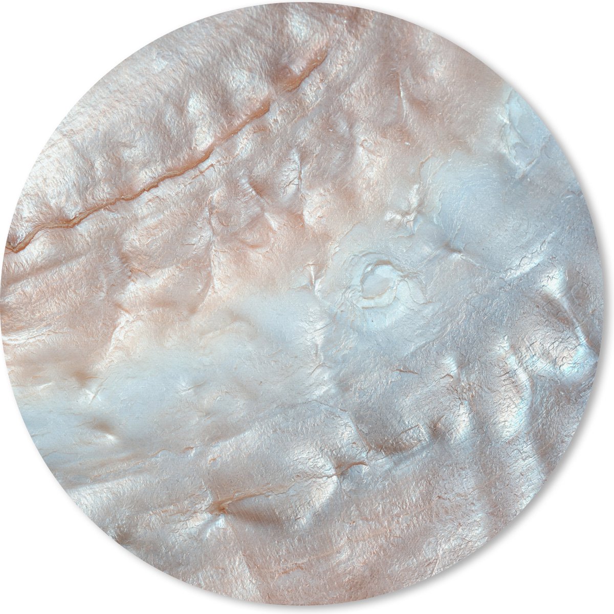 Muismat rond 50x50 cm - Mousepad Schelpen - Abstract - Natuur - Ronde muismatten