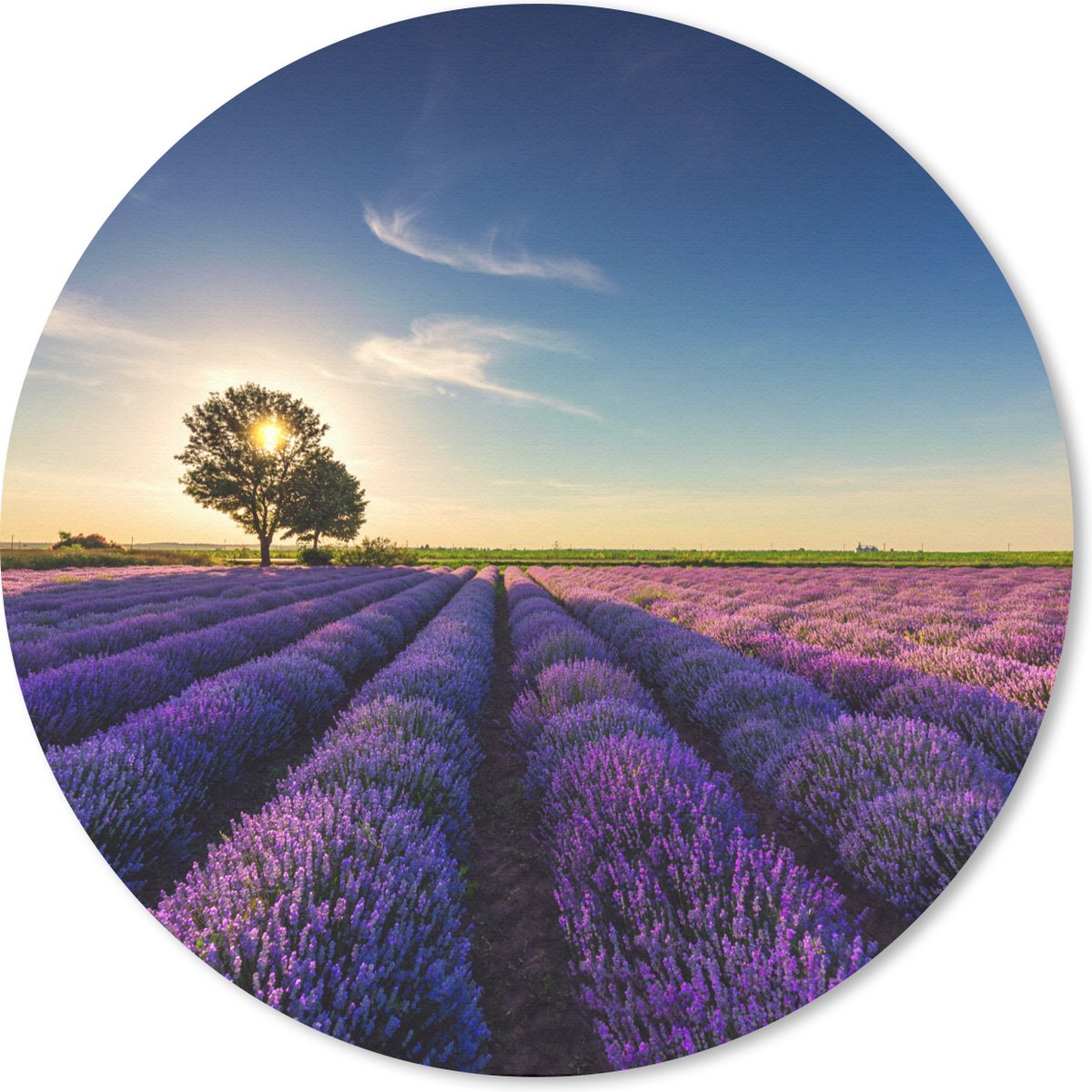 Muismat rond 30x30 cm - Mousepad Lavendel - Zon - Boom - Bloemen - Paars - Ronde muismatten