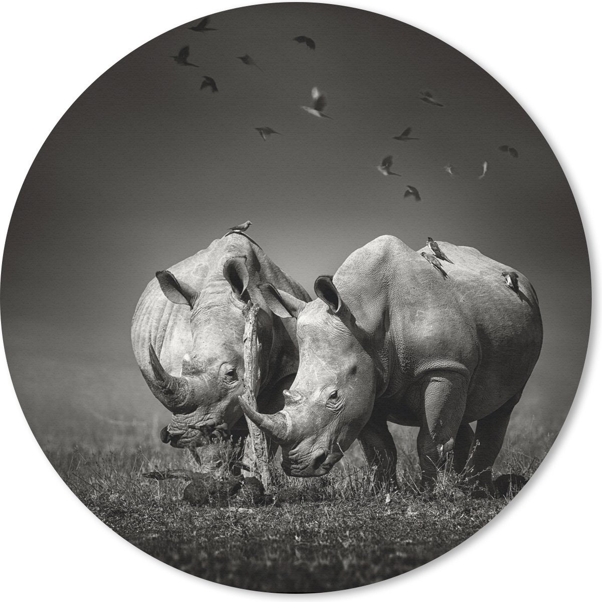 Muismat rond 20x20 cm - Mousepad Neushoorn - Vogel - Dieren - Landschap - Zwart wit - Ronde muismatten