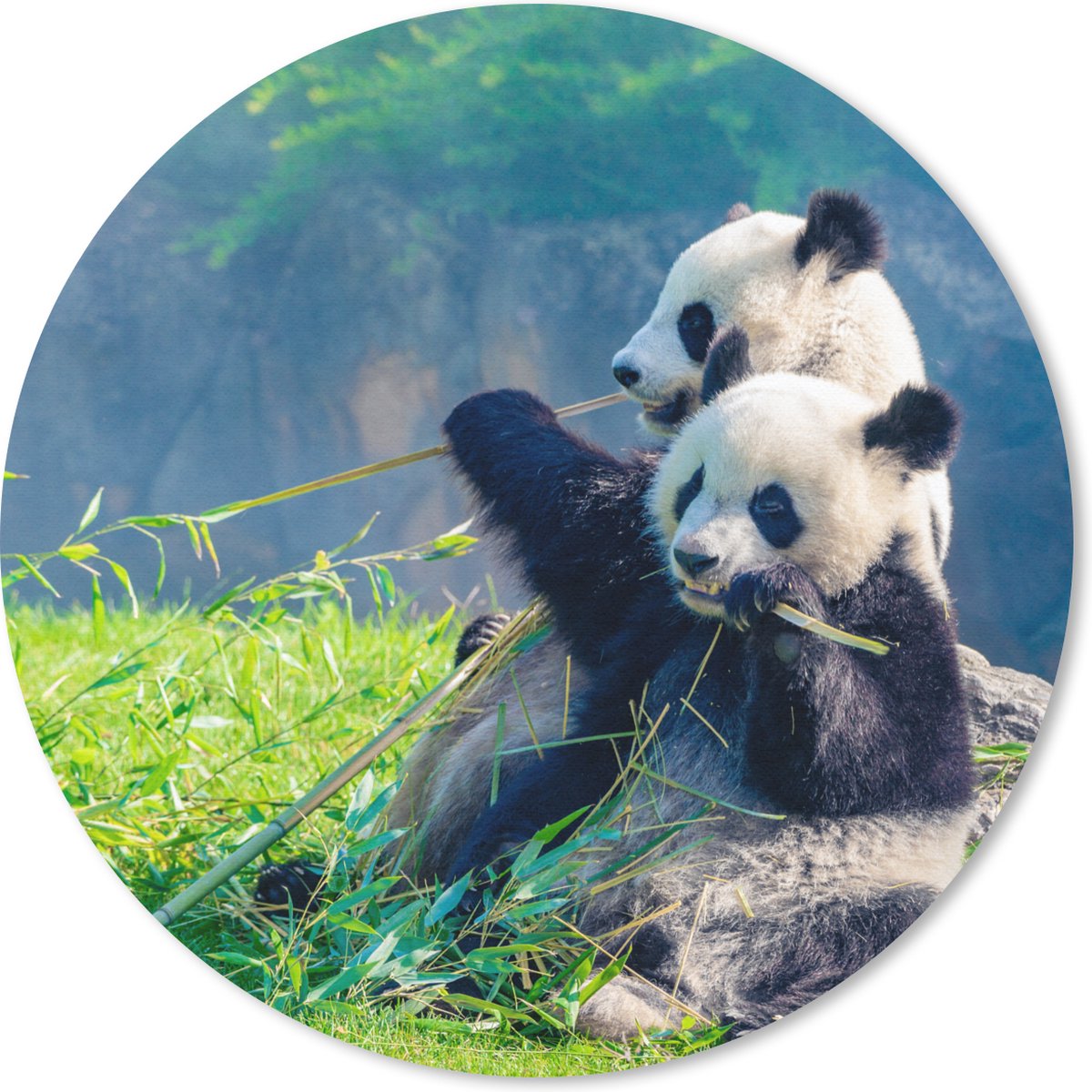 Muismat rond 40x40 cm - Mousepad Panda - Bamboe - Gras - Dieren - Ronde muismatten