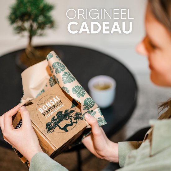 Vrouw pakt een Holistic-Life bonsai starterkit uit.