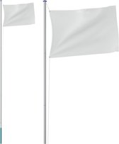 Mât de drapeau télescopique Argenté 5,55 m Aluminium vidaXL