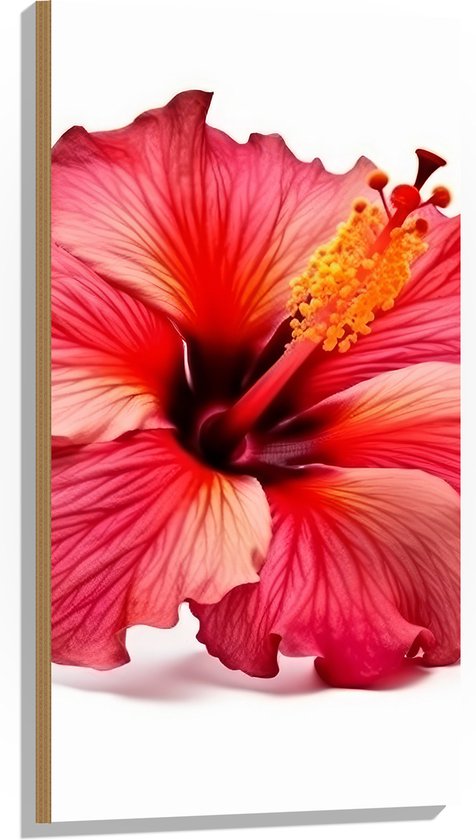 GORGECRAFT 4 Stijlen Hibiscus Bloem Auto Sticker 20 * 20cm Hawaiiaanse GORGECRAFT 4 Stijlen Hibiscus Bloem Auto Sticker 20 * 20cm Hawaiiaanse
