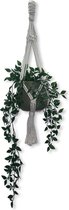Plantenhanger 'Funky' Gebroken Wit - 75 cm - Katoen - Macramé - Handgemaakt in Nederland - Let op: Excl. Pot - Inclusief Verzendkosten