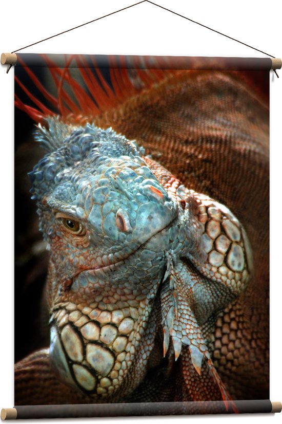 Textielposter - Close-up van Gezicht van Blauwe Iguana Reptiel - 60x80 cm Foto op Textiel