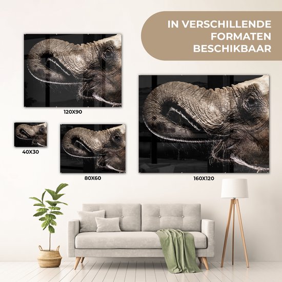 MuchoWow® Peinture sur verre 120x90 cm - Peinture sur verre acrylique - Éléphant - Animaux - Zwart - Nature - Photo sur verre - Peintures