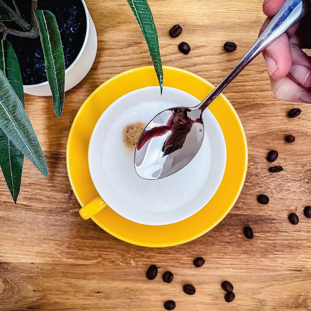 Set de 12 Cuillères à café en acier inoxydable – Conserve sa taille, passe  au