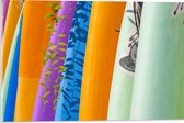 Acrylglas - Rij Verschillende Kleuren Surfboards - 60x40 cm Foto op Acrylglas (Met Ophangsysteem)