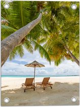 Tuinposter – Schuingroeiende Palmboom boven Ligbedden en Parasol op het Strand - 30x40 cm Foto op Tuinposter (wanddecoratie voor buiten en binnen)