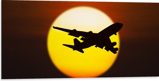Dibond - Silhouet van Passagiersvliegtuig vliegend langs de Horizon - 100x50 cm Foto op Aluminium (Met Ophangsysteem)